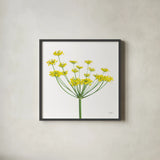 Fennel by Deborah Revell. Shown in a sleek black glass frame for a contemporary gallery look. Available as an archival giclee rolled canvas, fine art paper, or poster print. SKU 104469a.