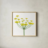 Fennel by Deborah Revell. Shown in a natural wood glass frame for a timeless modern aesthetic. Available as an archival giclee rolled canvas, fine art paper, or poster print. SKU 104469a.