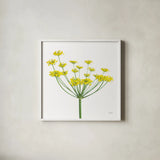 Fennel by Deborah Revell. Shown in a crisp white glass frame for a clean and minimalist style. Available as an archival giclee rolled canvas, fine art paper, or poster print. SKU 104469a.