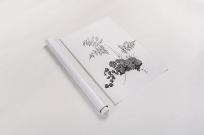 Fern Noir I by Deborah Revell. shown as a rolled paper print. Available as archival giclee rolled canvas, fine art paper, or poster print. SKU 96597h.