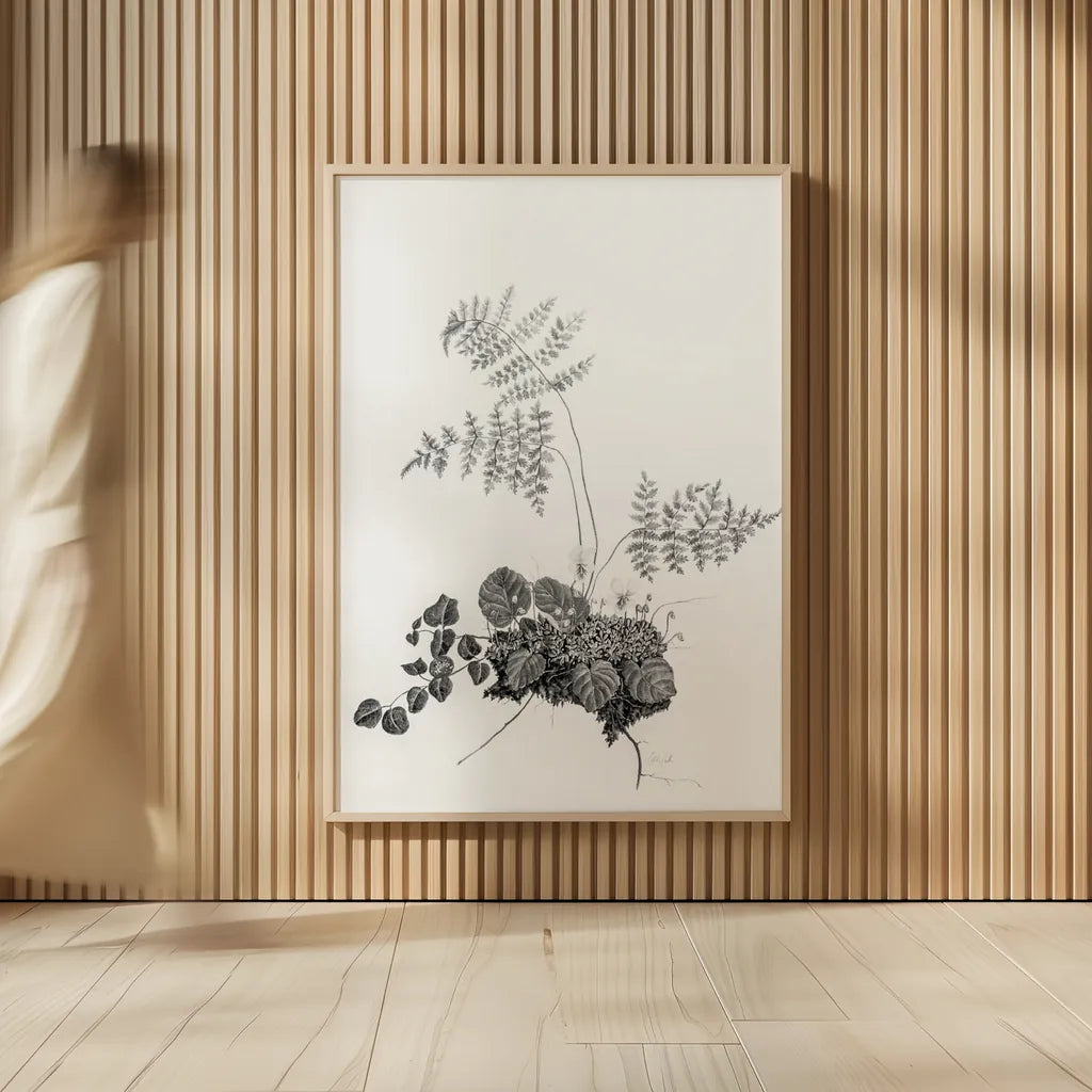 Fern Noir I by Deborah Revell. shown as over sized large wall art. Available as an archival giclee rolled canvas, fine art paper, or poster print. SKU 96597h.