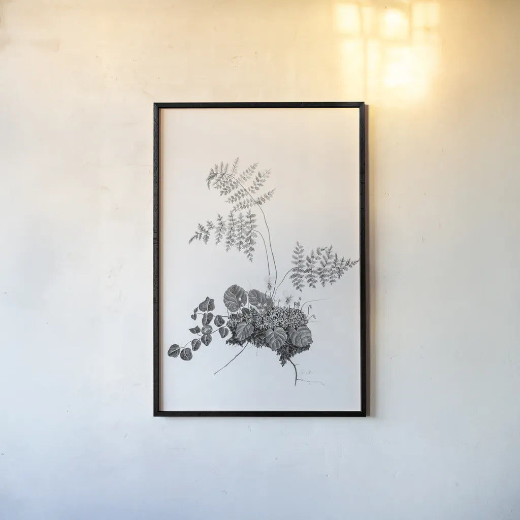 Fern Noir I by Deborah Revell. shown as a paper print in a black flame. Available as a archival giclee rolled canvas, fine art paper, or poster print. SKU 96597h.