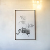 Fern Noir I by Deborah Revell. shown as a paper print in a black flame. Available as a archival giclee rolled canvas, fine art paper, or poster print. SKU 96597h.