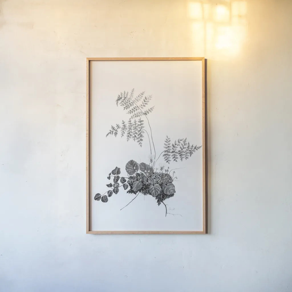 Fern Noir I by Deborah Revell. shown as a paper print in a natural frame. Available as a archival giclee rolled canvas, fine art paper, or poster print. SKU 96597h.