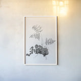 Fern Noir I by Deborah Revell. shown as a paper print in a white frame. Available as a archival giclee rolled canvas, fine art paper, or poster print. SKU 96597h.