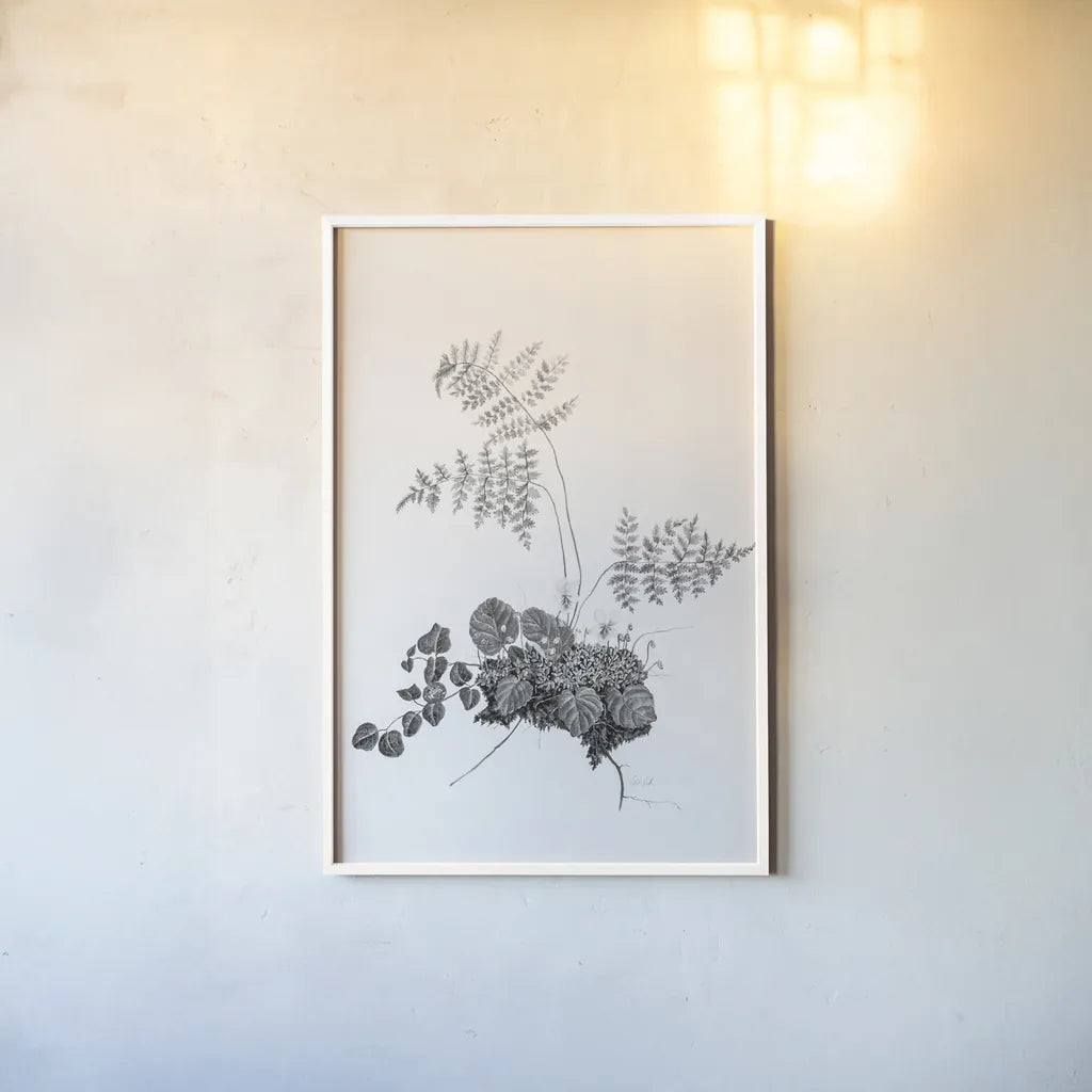 Fern Noir I by Deborah Revell. shown as a paper print in a white frame. Available as a archival giclee rolled canvas, fine art paper, or poster print. SKU 96597h.