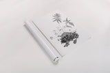 Fern Noir II by Deborah Revell. shown as a rolled paper print. Available as archival giclee rolled canvas, fine art paper, or poster print. SKU 96598h.