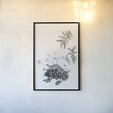 Fern Noir II by Deborah Revell. shown as a paper print in a black flame. Available as a archival giclee rolled canvas, fine art paper, or poster print. SKU 96598h.
