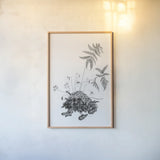 Fern Noir II by Deborah Revell. shown as a paper print in a natural frame. Available as a archival giclee rolled canvas, fine art paper, or poster print. SKU 96598h.