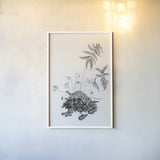 Fern Noir II by Deborah Revell. shown as a paper print in a white frame. Available as a archival giclee rolled canvas, fine art paper, or poster print. SKU 96598h.