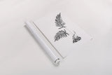 Fern Noir III by Deborah Revell. shown as a rolled paper print. Available as archival giclee rolled canvas, fine art paper, or poster print. SKU 96599h.