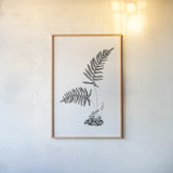 Fern Noir III by Deborah Revell. shown as a paper print in a natural frame. Available as a archival giclee rolled canvas, fine art paper, or poster print. SKU 96599h.