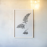 Fern Noir III by Deborah Revell. shown as a paper print in a white frame. Available as a archival giclee rolled canvas, fine art paper, or poster print. SKU 96599h.