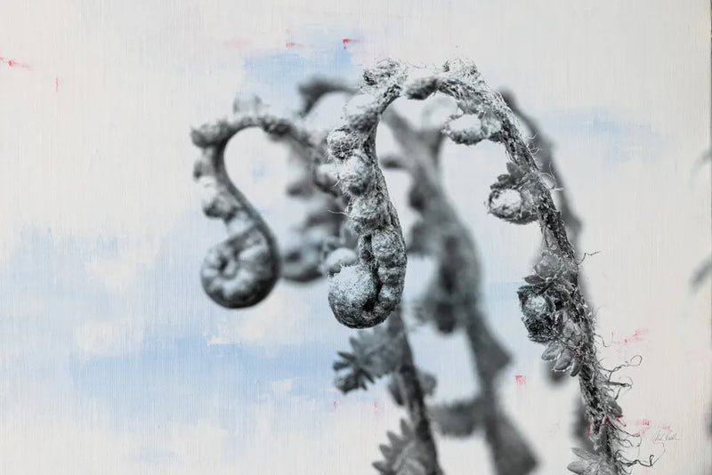 Fiddle Fern I by Deborah Revell. SKU 94826i. Archival Giclee Fine art print for wall decor.