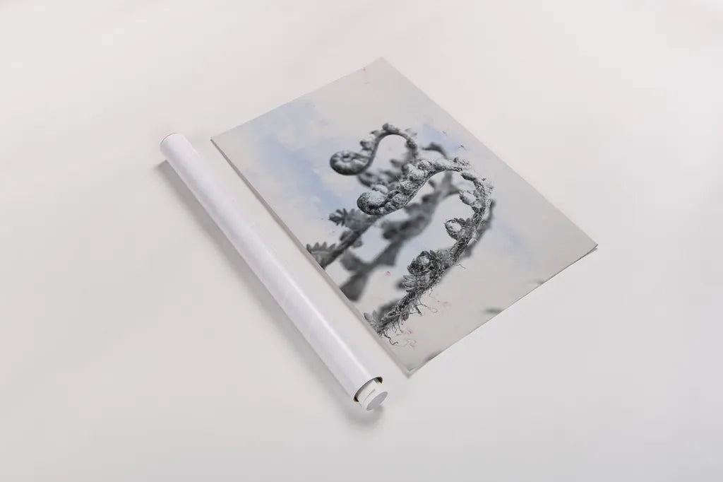 Fiddle Fern I by Deborah Revell. shown as a rolled paper print. Available as archival giclee rolled canvas, fine art paper, or poster print. SKU 94826i.