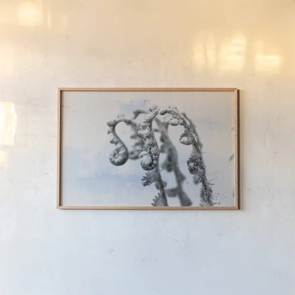 Fiddle Fern I by Deborah Revell. shown as a paper print in a natural frame. Available as a archival giclee rolled canvas, fine art paper, or poster print. SKU 94826i.