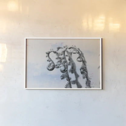 Fiddle Fern I by Deborah Revell. shown as a paper print in a white frame. Available as a archival giclee rolled canvas, fine art paper, or poster print. SKU 94826i.