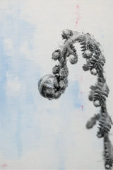 Fiddle Fern II by Deborah Revell. SKU 94827h. Archival Giclee Fine art print for wall decor.