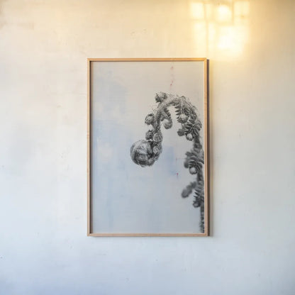 Fiddle Fern II by Deborah Revell. shown as a paper print in a natural frame. Available as a archival giclee rolled canvas, fine art paper, or poster print. SKU 94827h.