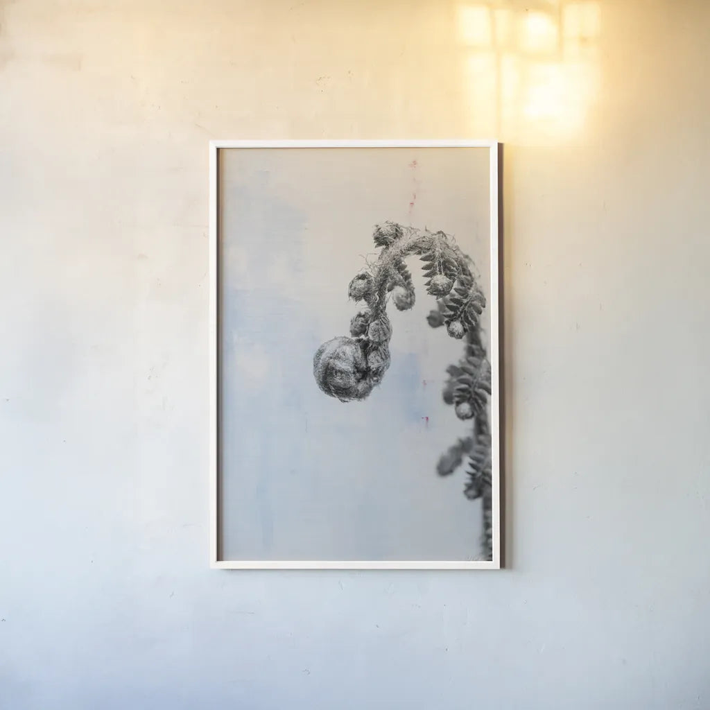 Fiddle Fern II by Deborah Revell. shown as a paper print in a white frame. Available as a archival giclee rolled canvas, fine art paper, or poster print. SKU 94827h.