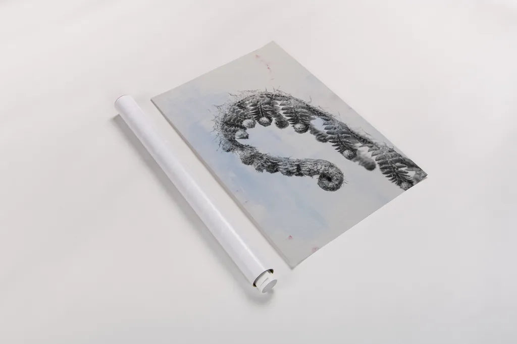 Fiddle Fern III by Deborah Revell. shown as a rolled paper print. Available as archival giclee rolled canvas, fine art paper, or poster print. SKU 94828h.