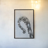 Fiddle Fern III by Deborah Revell. shown as a paper print in a black flame. Available as a archival giclee rolled canvas, fine art paper, or poster print. SKU 94828h.