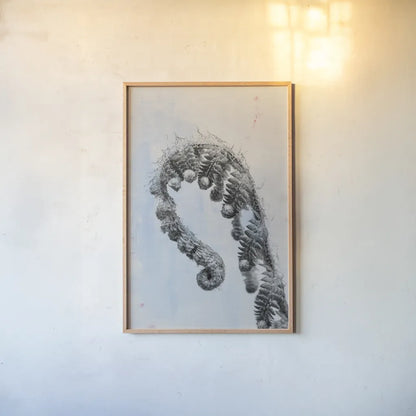 Fiddle Fern III by Deborah Revell. shown as a paper print in a natural frame. Available as a archival giclee rolled canvas, fine art paper, or poster print. SKU 94828h.