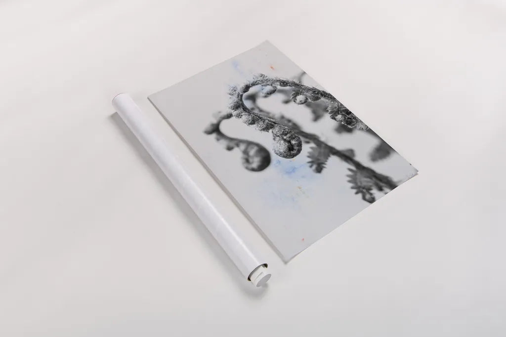 Fiddle Fern IV by Deborah Revell. shown as a rolled paper print. Available as archival giclee rolled canvas, fine art paper, or poster print. SKU 94829h.