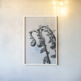 Fiddle Fern IV by Deborah Revell. shown as a paper print in a white frame. Available as a archival giclee rolled canvas, fine art paper, or poster print. SKU 94829h.