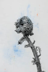 Fiddle Fern V by Deborah Revell. SKU 94830h. Archival Giclee Fine art print for wall decor.