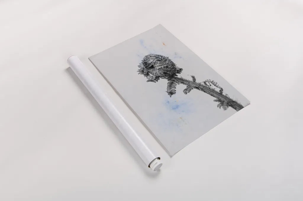 Fiddle Fern V by Deborah Revell. shown as a rolled paper print. Available as archival giclee rolled canvas, fine art paper, or poster print. SKU 94830h.