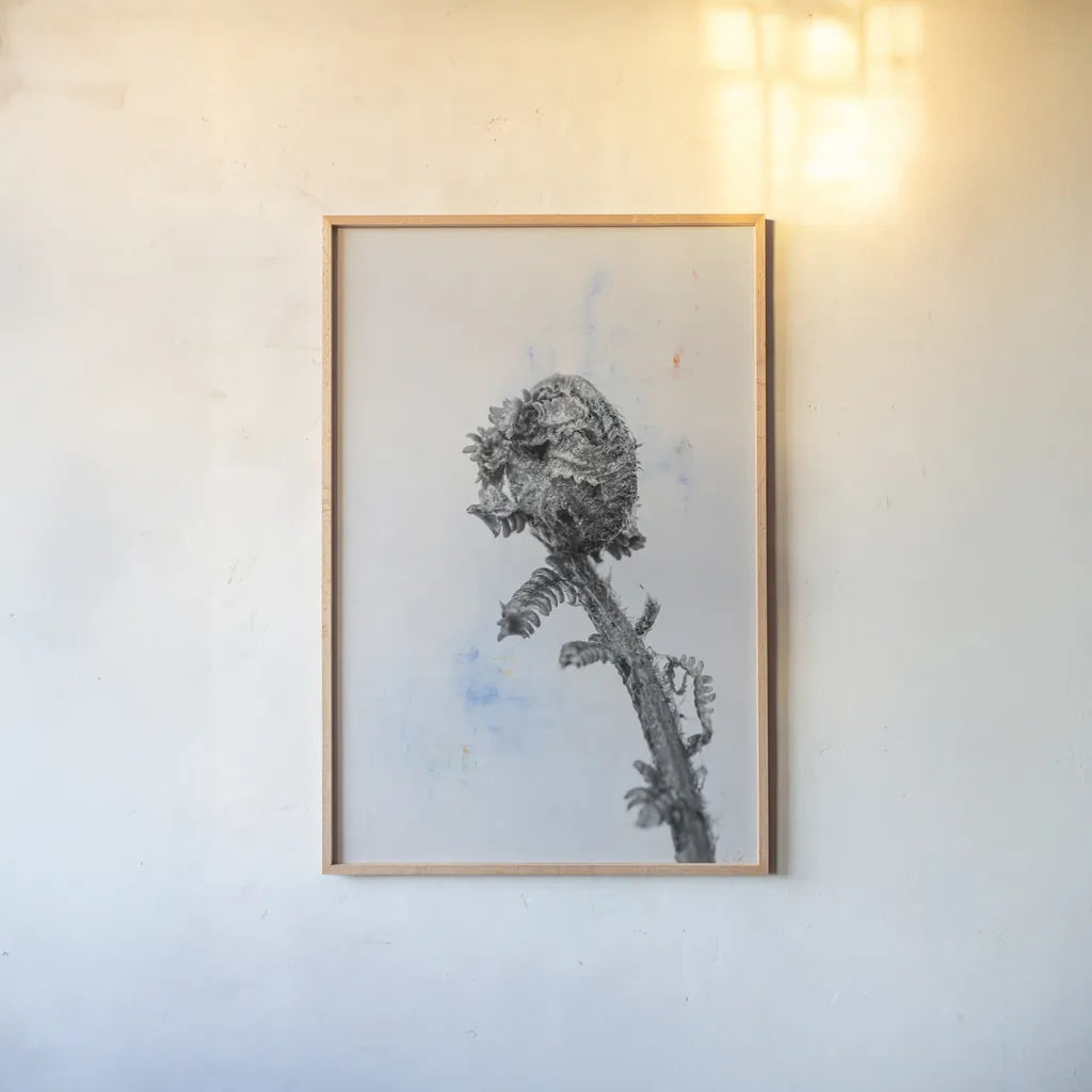 Fiddle Fern V by Deborah Revell. shown as a paper print in a natural frame. Available as a archival giclee rolled canvas, fine art paper, or poster print. SKU 94830h.