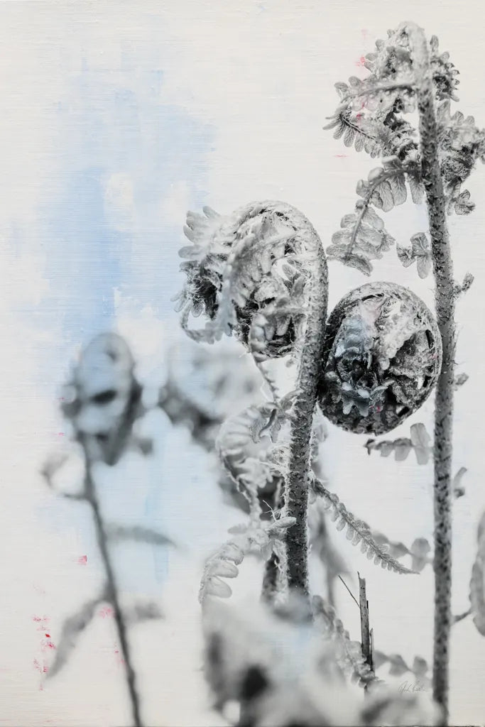 Fiddle Fern VI by Deborah Revell. SKU 94831h. Archival Giclee Fine art print for wall decor.