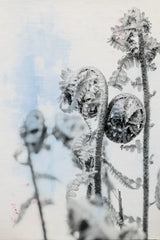 Fiddle Fern VI by Deborah Revell. SKU 94831h. Archival Giclee Fine art print for wall decor.