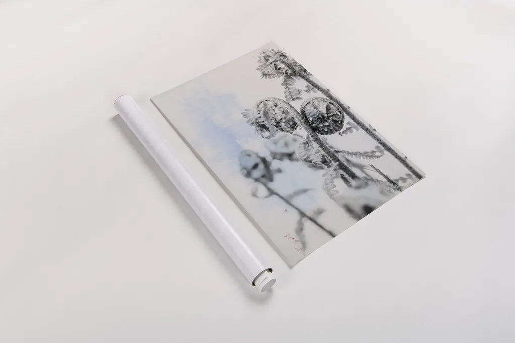 Fiddle Fern VI by Deborah Revell. shown as a rolled paper print. Available as archival giclee rolled canvas, fine art paper, or poster print. SKU 94831h.