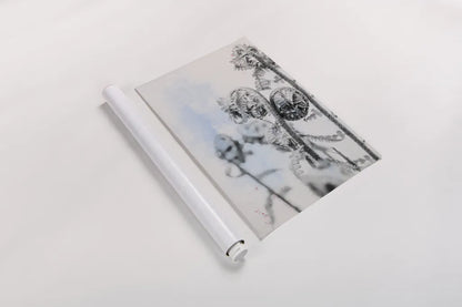 Fiddle Fern VI by Deborah Revell. shown as a rolled paper print. Available as archival giclee rolled canvas, fine art paper, or poster print. SKU 94831h.