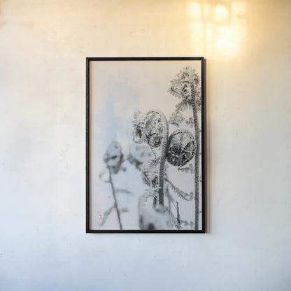 Fiddle Fern VI by Deborah Revell. shown as a paper print in a black flame. Available as a archival giclee rolled canvas, fine art paper, or poster print. SKU 94831h.