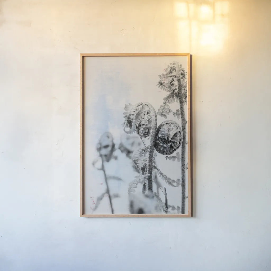 Fiddle Fern VI by Deborah Revell. shown as a paper print in a natural frame. Available as a archival giclee rolled canvas, fine art paper, or poster print. SKU 94831h.