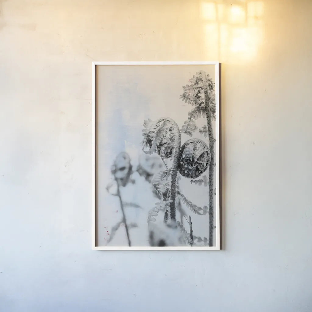 Fiddle Fern VI by Deborah Revell. shown as a paper print in a white frame. Available as a archival giclee rolled canvas, fine art paper, or poster print. SKU 94831h.