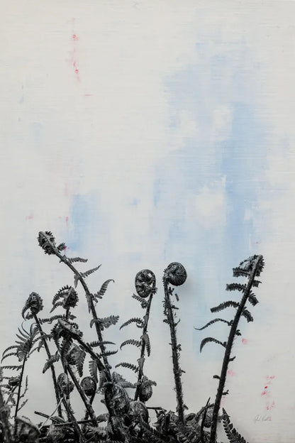 Fiddle Fern VII by Deborah Revell. SKU 94832h. Archival Giclee Fine art print for wall decor.