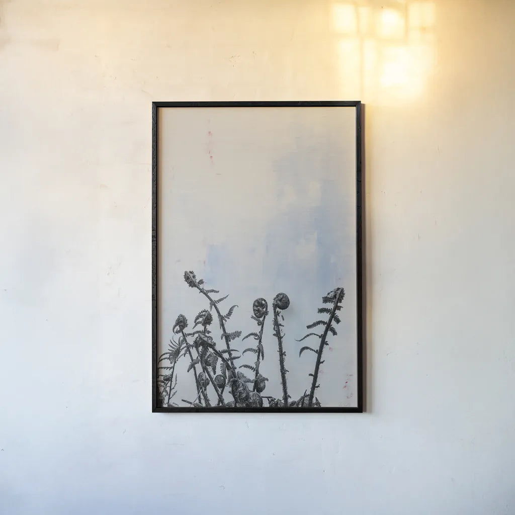 Fiddle Fern VII by Deborah Revell. shown as a paper print in a black flame. Available as a archival giclee rolled canvas, fine art paper, or poster print. SKU 94832h.