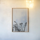 Fiddle Fern VII by Deborah Revell. shown as a paper print in a natural frame. Available as a archival giclee rolled canvas, fine art paper, or poster print. SKU 94832h.