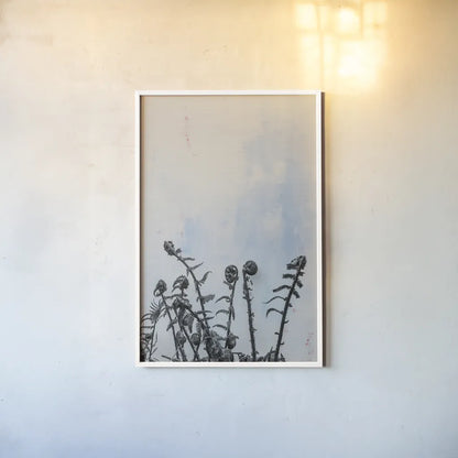 Fiddle Fern VII by Deborah Revell. shown as a paper print in a white frame. Available as a archival giclee rolled canvas, fine art paper, or poster print. SKU 94832h.