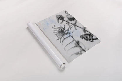 Fiddle Fern VIII by Deborah Revell. shown as a rolled paper print. Available as archival giclee rolled canvas, fine art paper, or poster print. SKU 94833h.