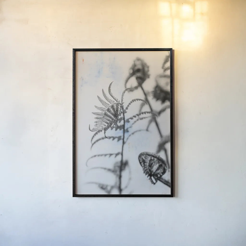 Fiddle Fern VIII by Deborah Revell. shown as a paper print in a black flame. Available as a archival giclee rolled canvas, fine art paper, or poster print. SKU 94833h.