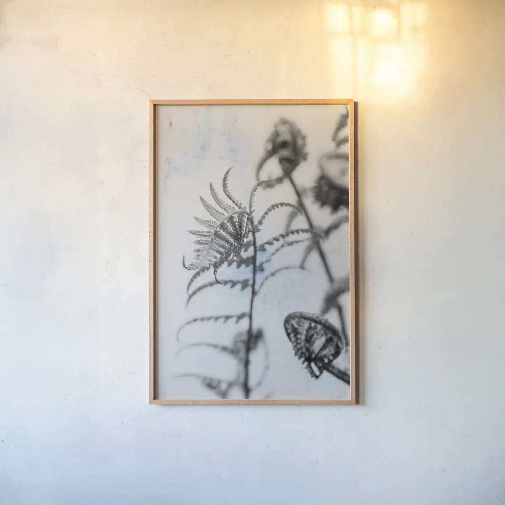 Fiddle Fern VIII by Deborah Revell. shown as a paper print in a natural frame. Available as a archival giclee rolled canvas, fine art paper, or poster print. SKU 94833h.