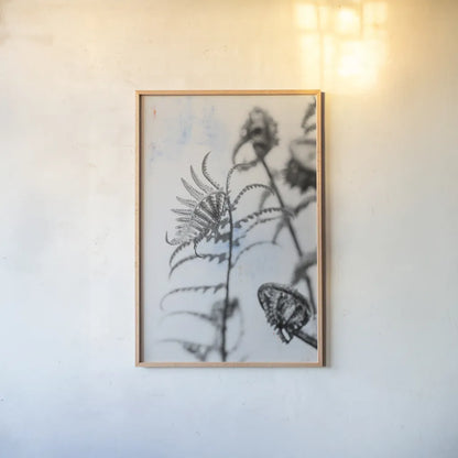 Fiddle Fern VIII by Deborah Revell. shown as a paper print in a natural frame. Available as a archival giclee rolled canvas, fine art paper, or poster print. SKU 94833h.