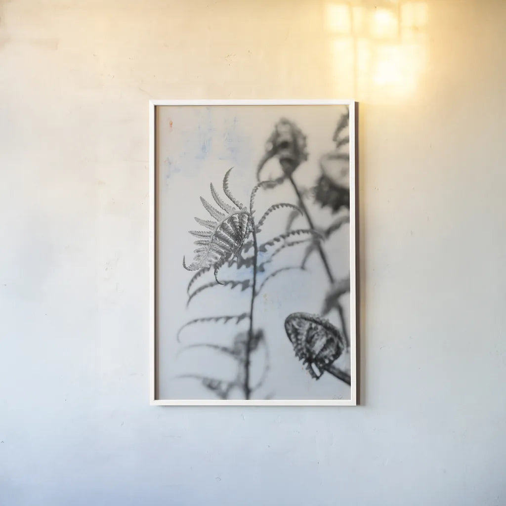 Fiddle Fern VIII by Deborah Revell. shown as a paper print in a white frame. Available as a archival giclee rolled canvas, fine art paper, or poster print. SKU 94833h.