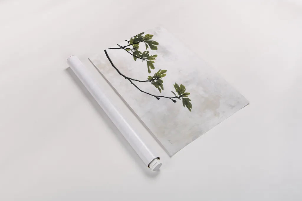 Fig Branch by Deborah Revell. shown as a rolled paper print. Available as archival giclee rolled canvas, fine art paper, or poster print. SKU 94137i.