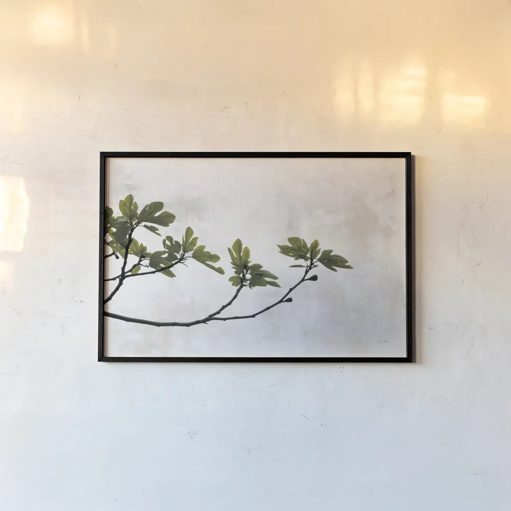 Fig Branch by Deborah Revell. shown as a paper print in a black flame. Available as a archival giclee rolled canvas, fine art paper, or poster print. SKU 94137i.